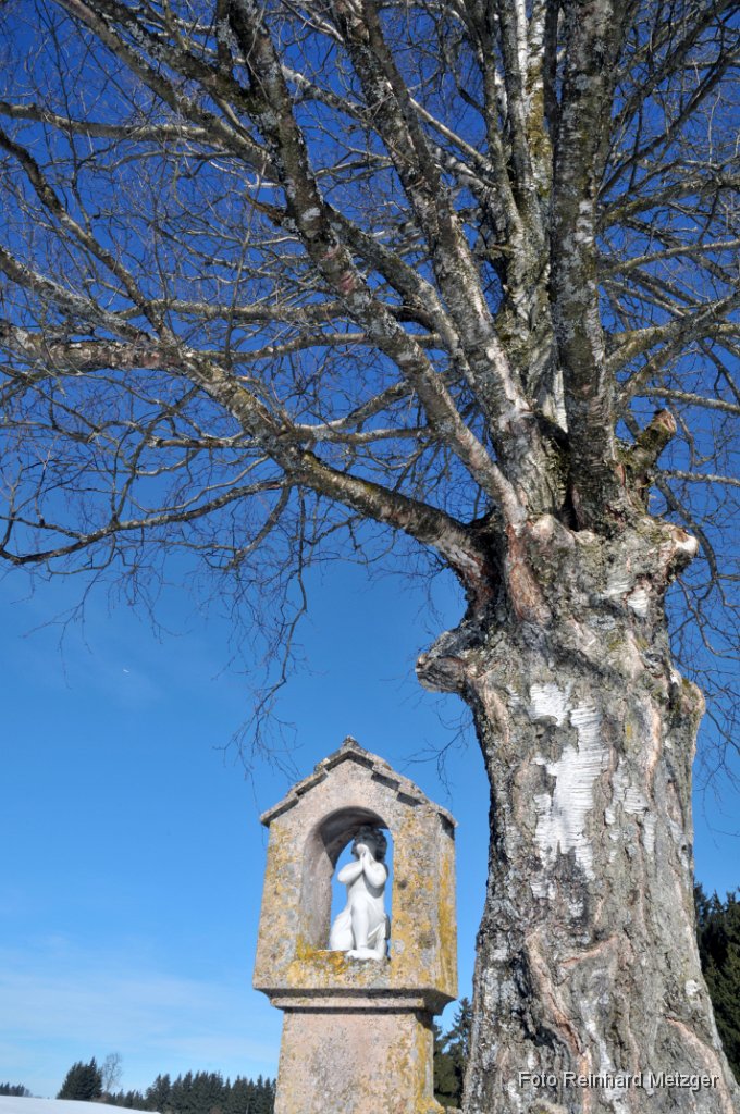 2011-02-05 13 Schleierfaelle-Ammer_RM.jpg